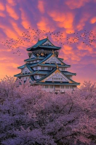 Japan Tour Package – Best Japan Holiday Packages | Explore Tokyo, Kyoto, Osaka & Mount Fuji with E Tour Partner
