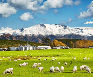 New Zealand Travel Guide (2026): Best Places to Visit & Itinerary | E Tour Partner