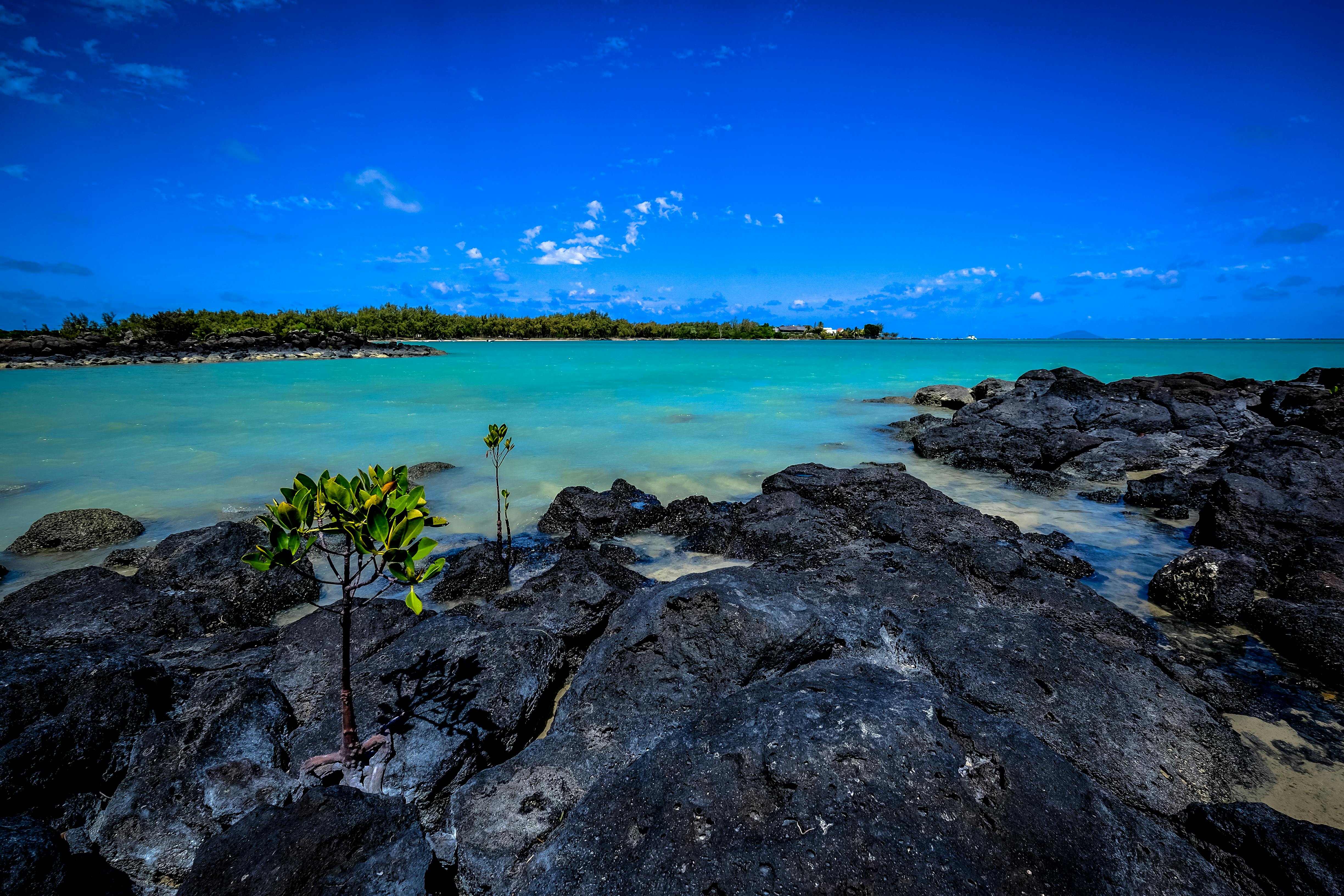 Magical Mauritius – 5 Nights / 6 Days Package